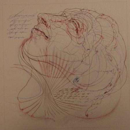 Automatic Pen & Ink Drawing