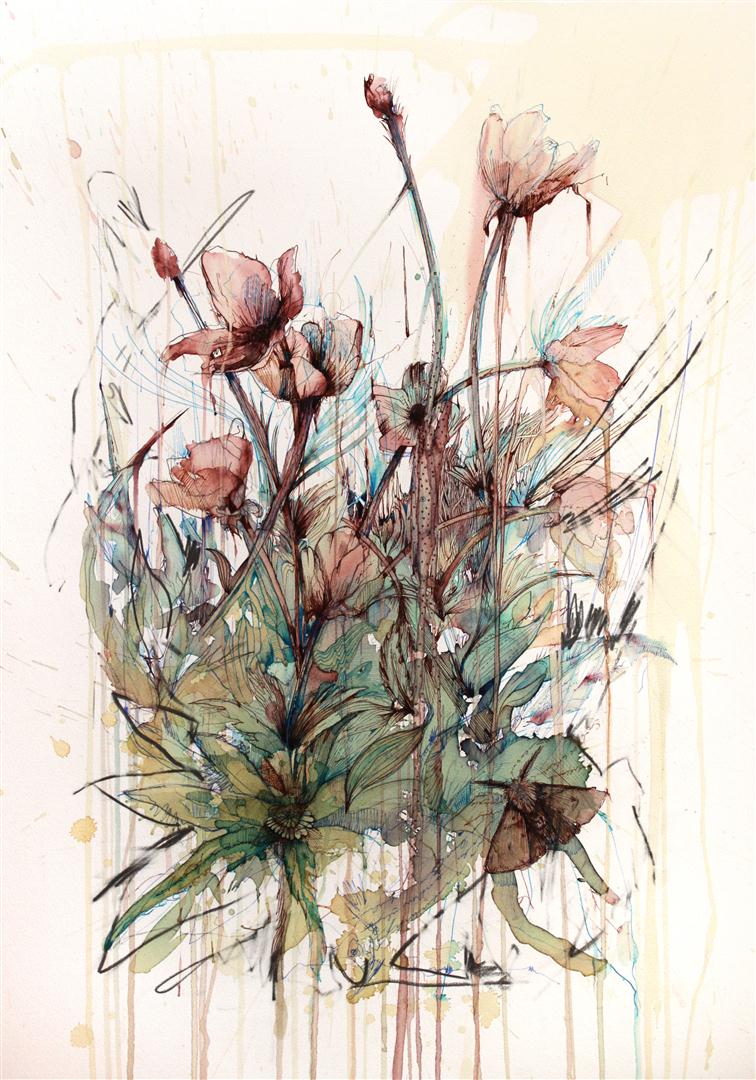 Poppy - Ink and tea on paper by Carne Griffiths
