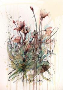 Poppy - Ink and tea on paper by Carne Griffiths
