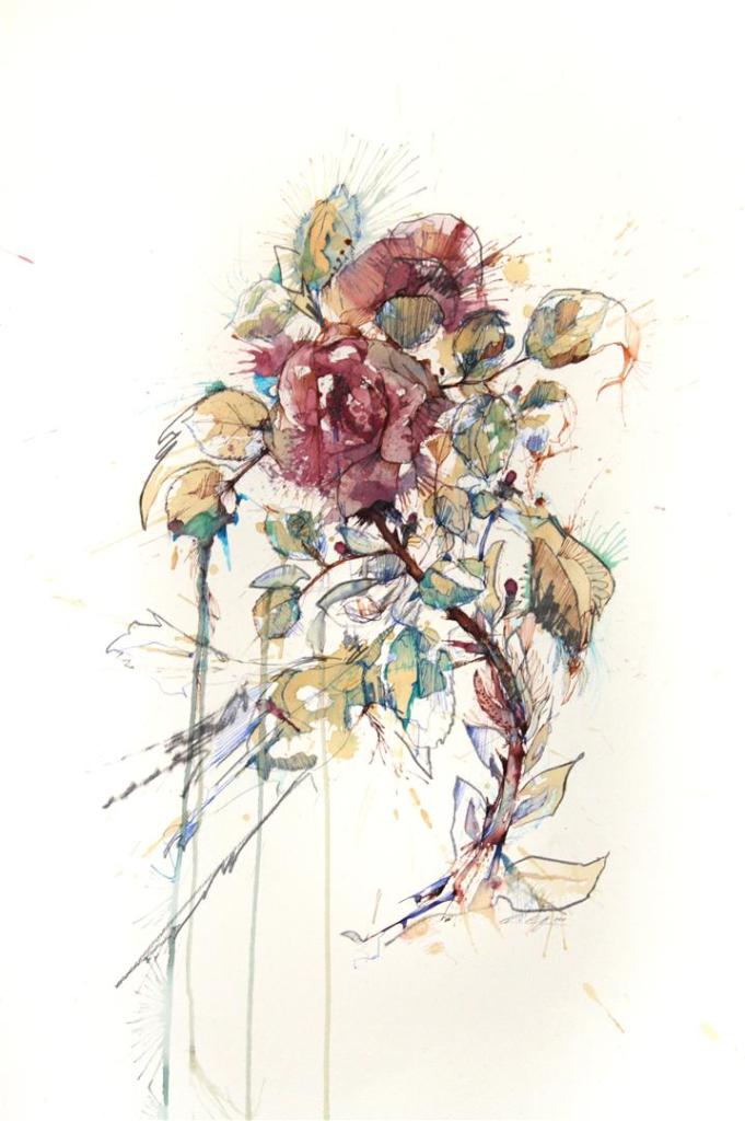 Gallery – Carne Griffiths Blog